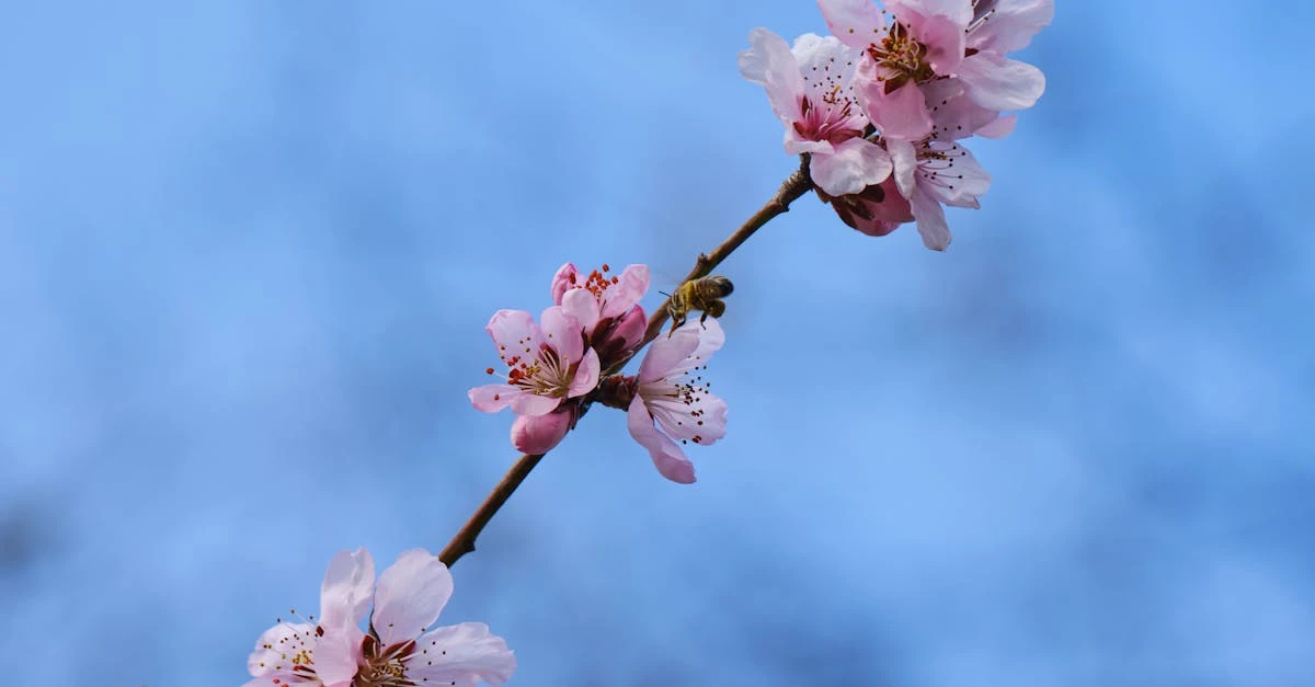 Como ofertar serviços de jardinagem temática